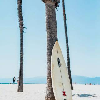 Surfer beach wallpaper