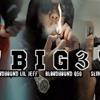 BloodHound Q50 wallpaper