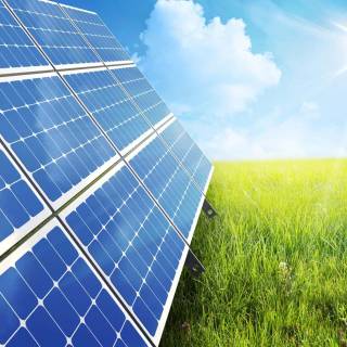 Solar plant wallpaper
