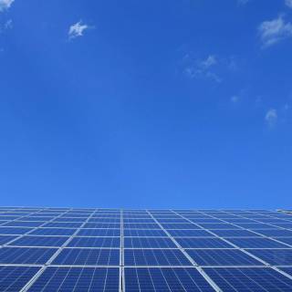 Solar plant wallpaper