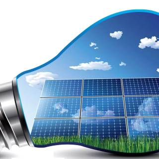 Solar plant wallpaper