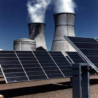 Solar plant wallpaper