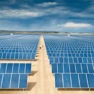 Solar plant wallpaper