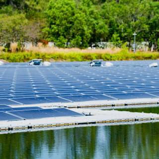 Solar plant wallpaper