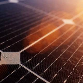 Solar plant wallpaper
