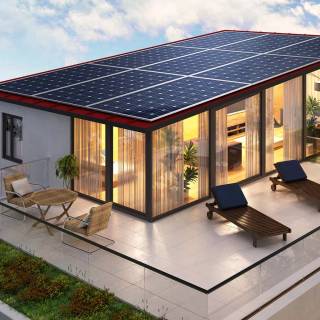 Solar plant wallpaper