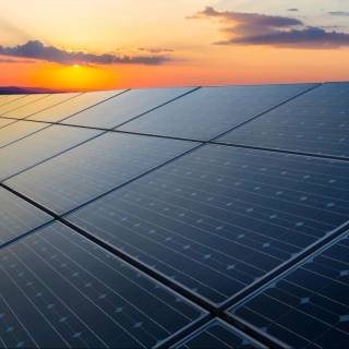 Solar plant wallpaper