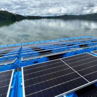 Solar plant wallpaper