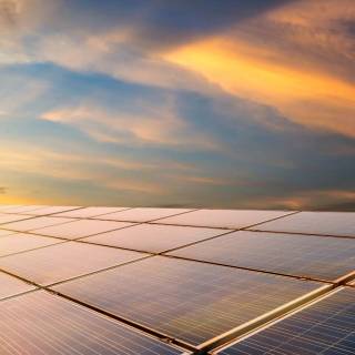 Solar plant wallpaper