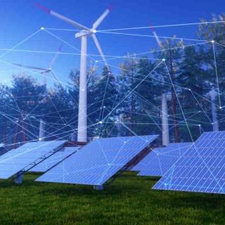 Solar plant wallpaper