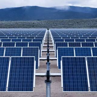 Solar plant wallpaper