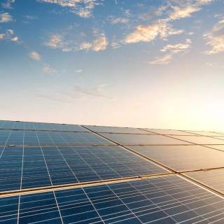 Solar plant wallpaper