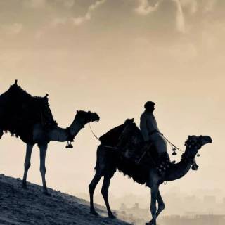 Arabic design wallpaper