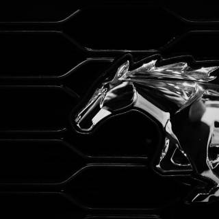 Ford emblem wallpaper