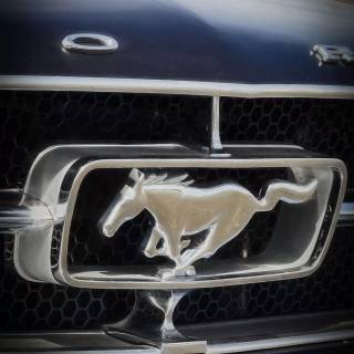 Ford emblem wallpaper