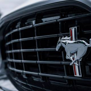 Ford emblem wallpaper