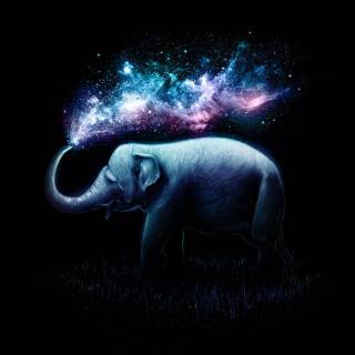 Blue elephant wallpaper