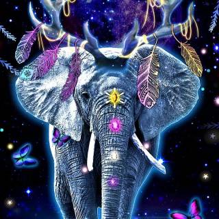 Blue elephant wallpaper