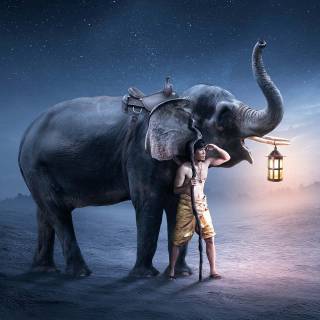 Blue elephant wallpaper