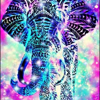 Blue elephant wallpaper