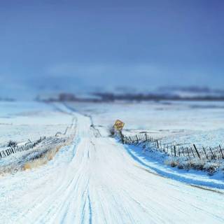 End of winter wallpaper