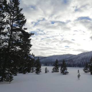 End of winter wallpaper