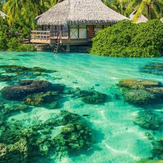 Nature in the ocean wallpaper