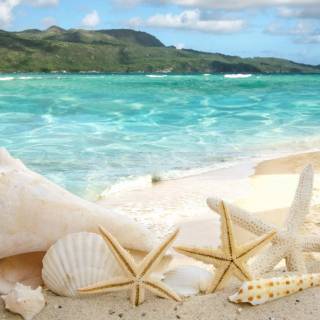 Ocean natural 4k wallpaper