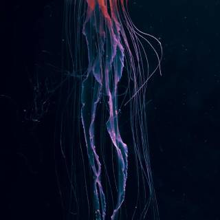 iPhone deep ocean wallpaper