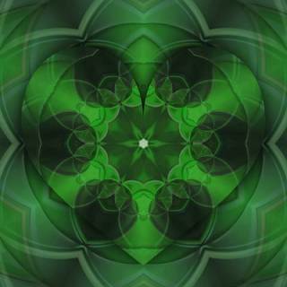 Green and black iPhone wallpaper