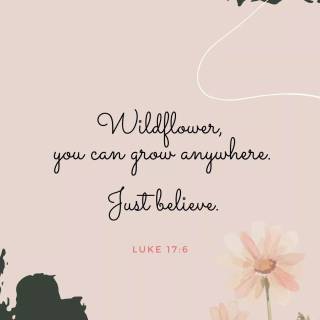 iPhone believe wallpaper