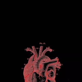 Medicine phone wallpaper