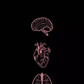 Medicine phone wallpaper