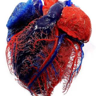 Medicine phone wallpaper