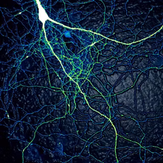 Medicine phone wallpaper