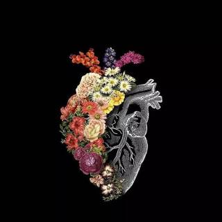 Medicine phone wallpaper