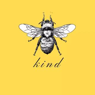 iPhone bee wallpaper