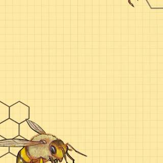 iPhone bee wallpaper