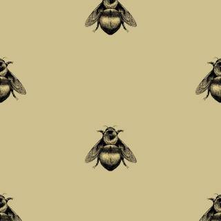 iPhone bee wallpaper