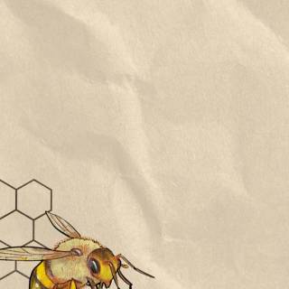 iPhone bee wallpaper