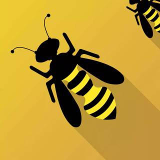 iPhone bee wallpaper