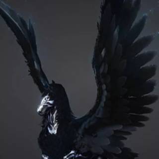 Pegasus phone wallpaper