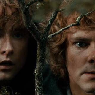 Merry and Pippin wallpaper