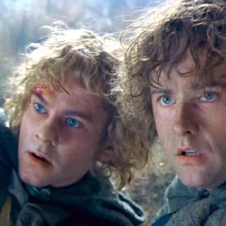 Merry and Pippin wallpaper