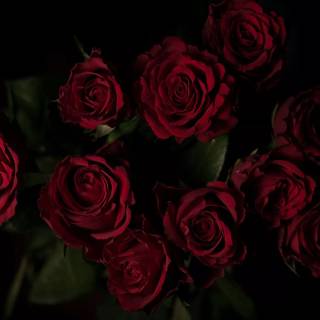 3440x1440 black wallpaper