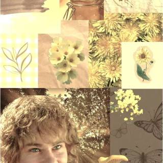 Merry Brandybuck wallpaper