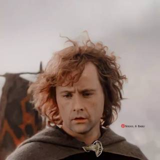 Pippin Took wallpaper