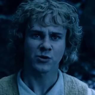 Merry Brandybuck wallpaper