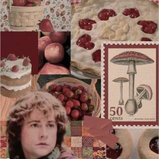 Pippin Took wallpaper