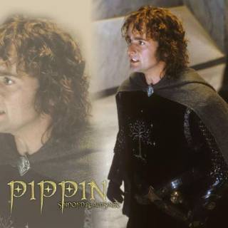 Pippin Took wallpaper